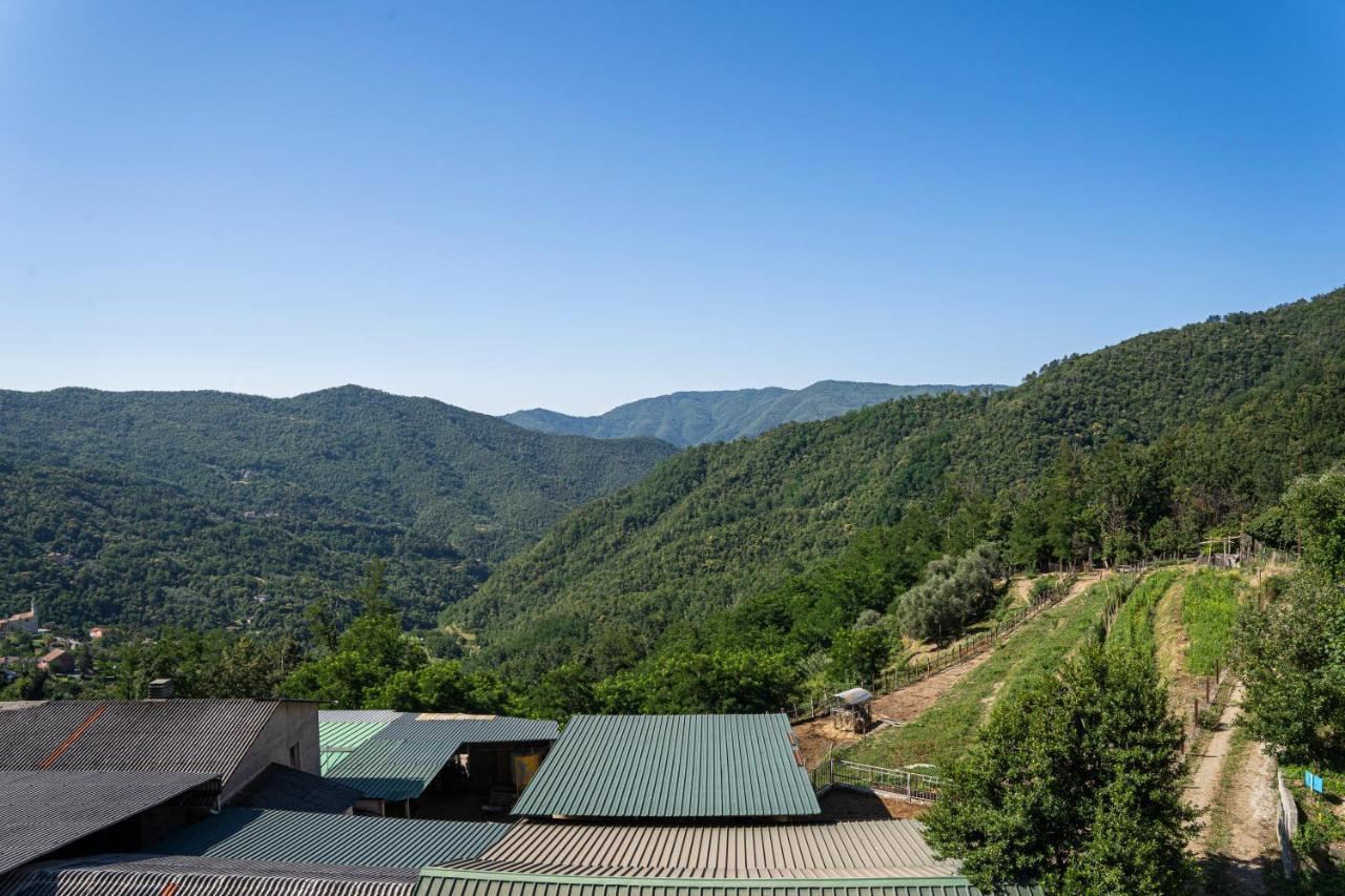 Terisso 01234 - Agriturismo La Marpea, Esperienza In Mezzo Alla Natura E Al Cibo Tipico Italianoヴィラ エクステリア 写真